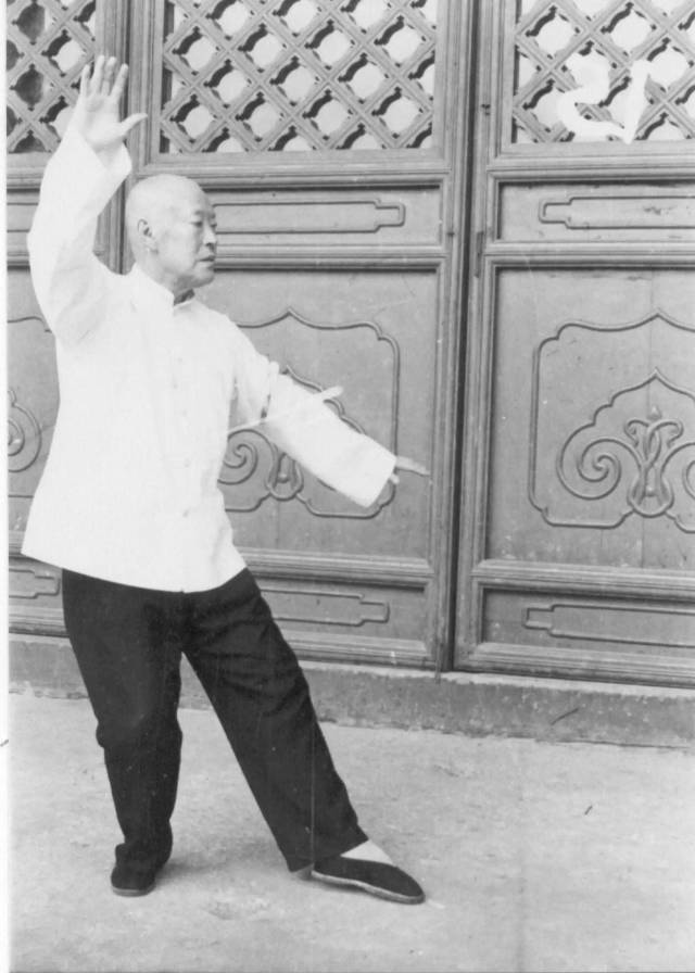 杨禹廷"玉女穿梭",不老春光.