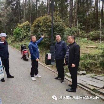 市林业局局长程劲松到凤凰山国家森林公园暗访巡查_防火_祭祀_工作