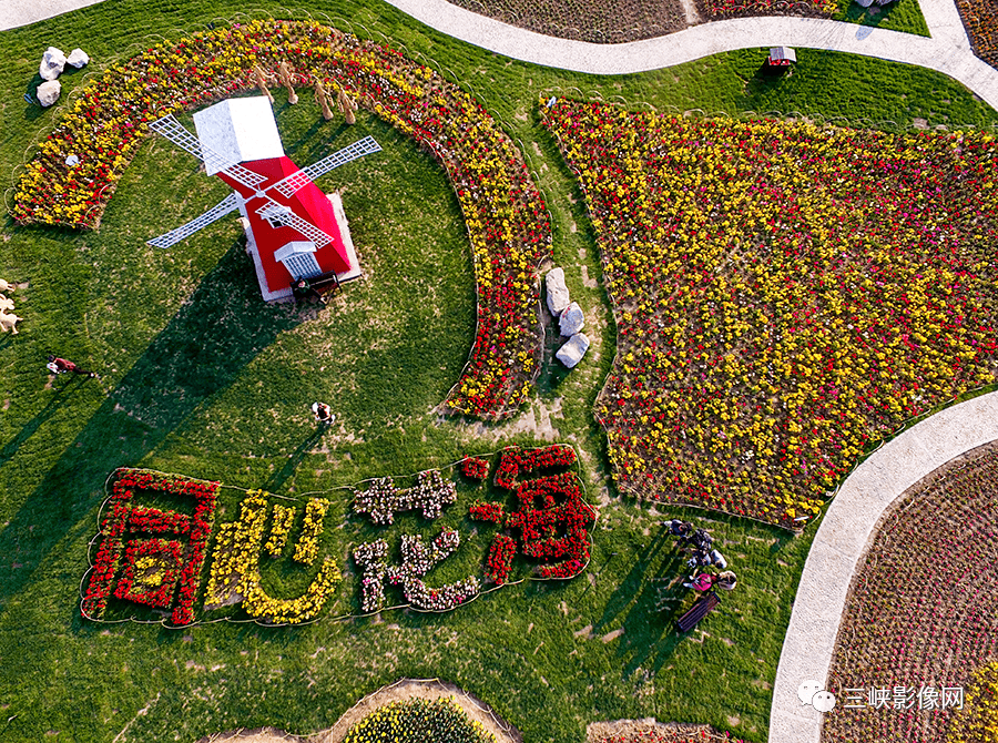 宜昌那片美丽怡人的花海