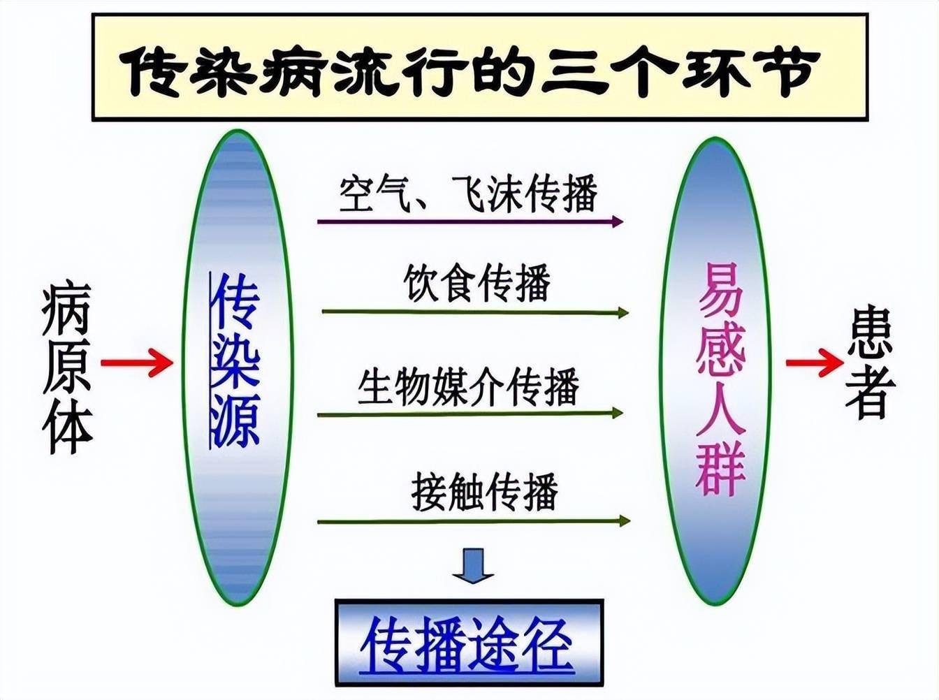 传染病在人群中流行的三个环节:传染源,传播途径和易感人群,三者缺一