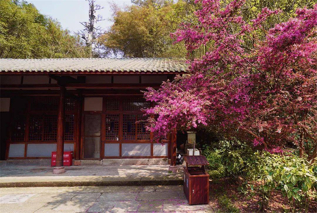 乐言乐语丨啼莺似惜春光去归鹤应随云气旋