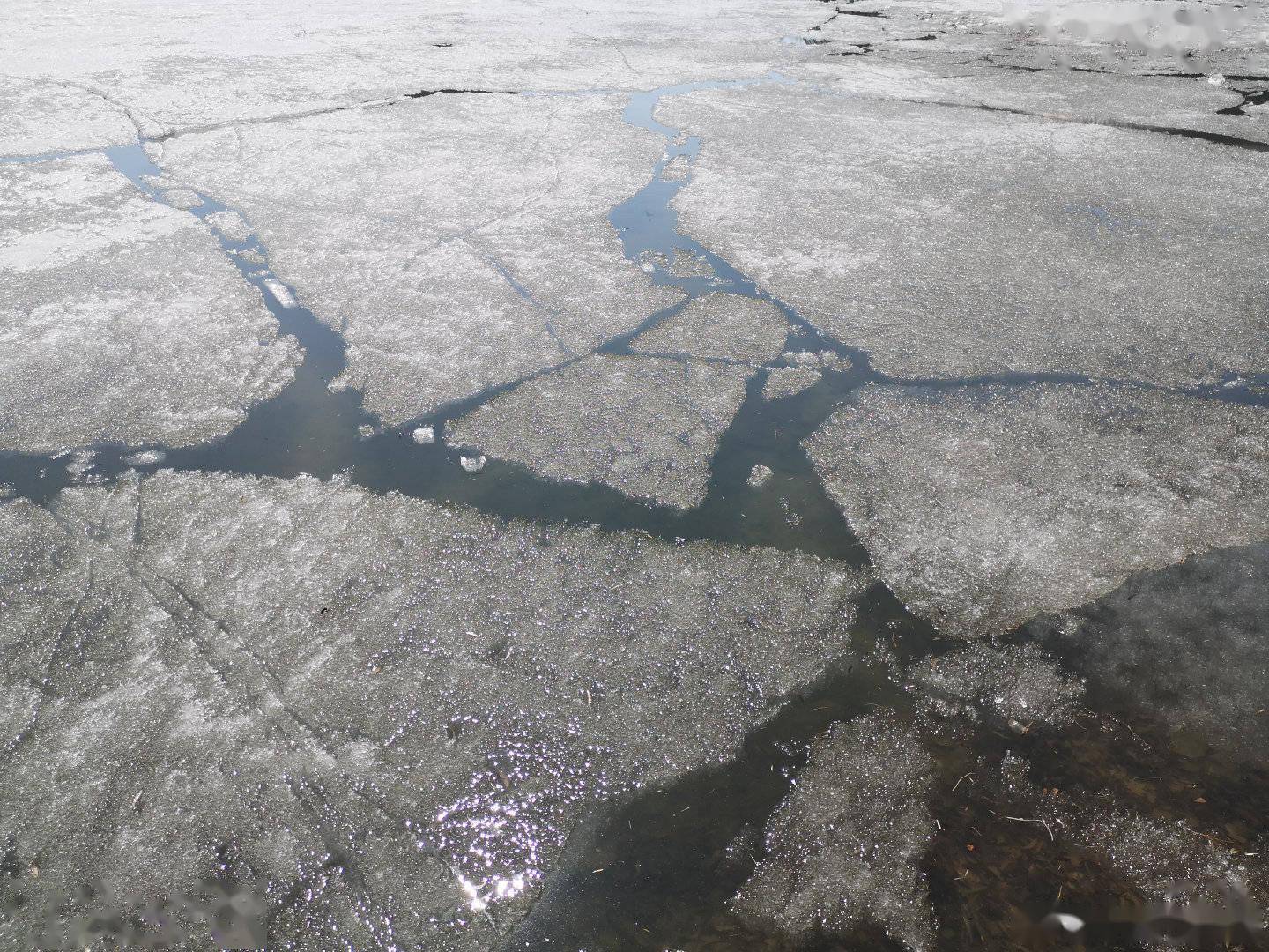 冰雪消融的河面图片