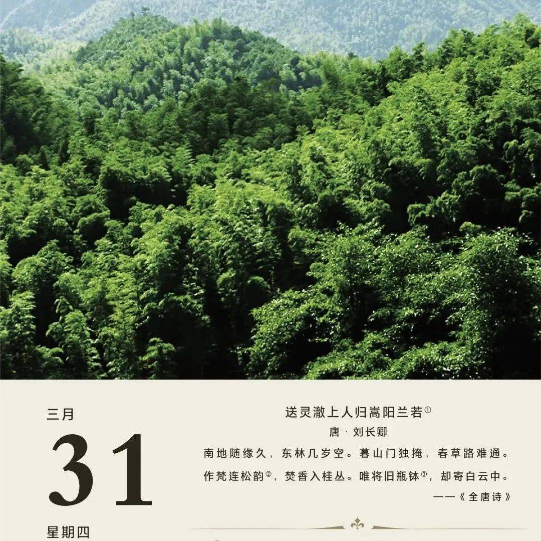 云门诗词日历（2022.3.31）_嵩阳_兰若_桂丛