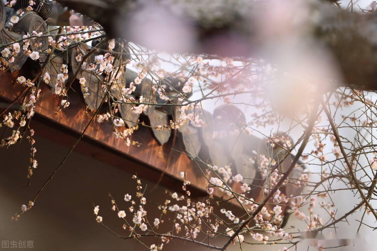 人間四月芳菲盡,山寺桃花始盛開_譯文_蠶桑_翁卷