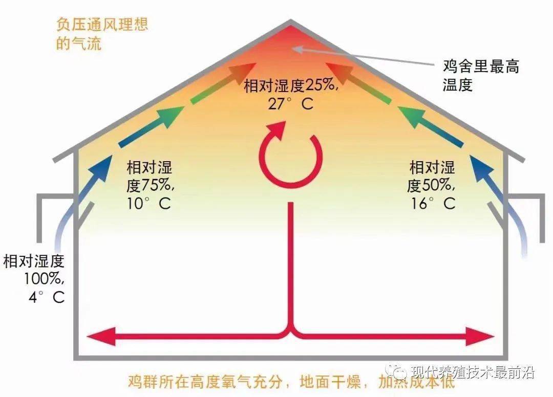 通风管理现代化蛋鸡舍通风量的科学计算方法