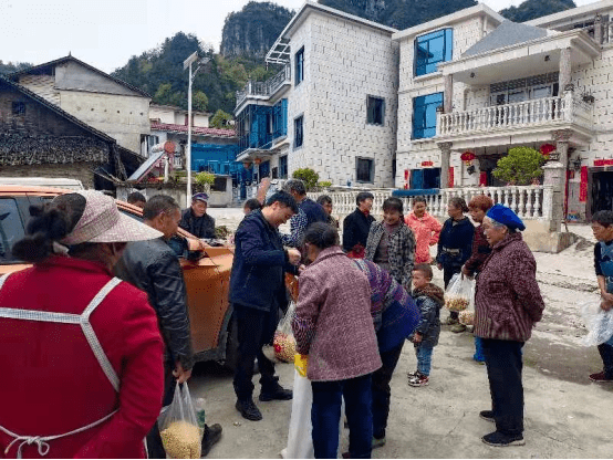 乡村振兴产业良田村扎实推进春耕生产积极开展大豆玉米带状复合种植