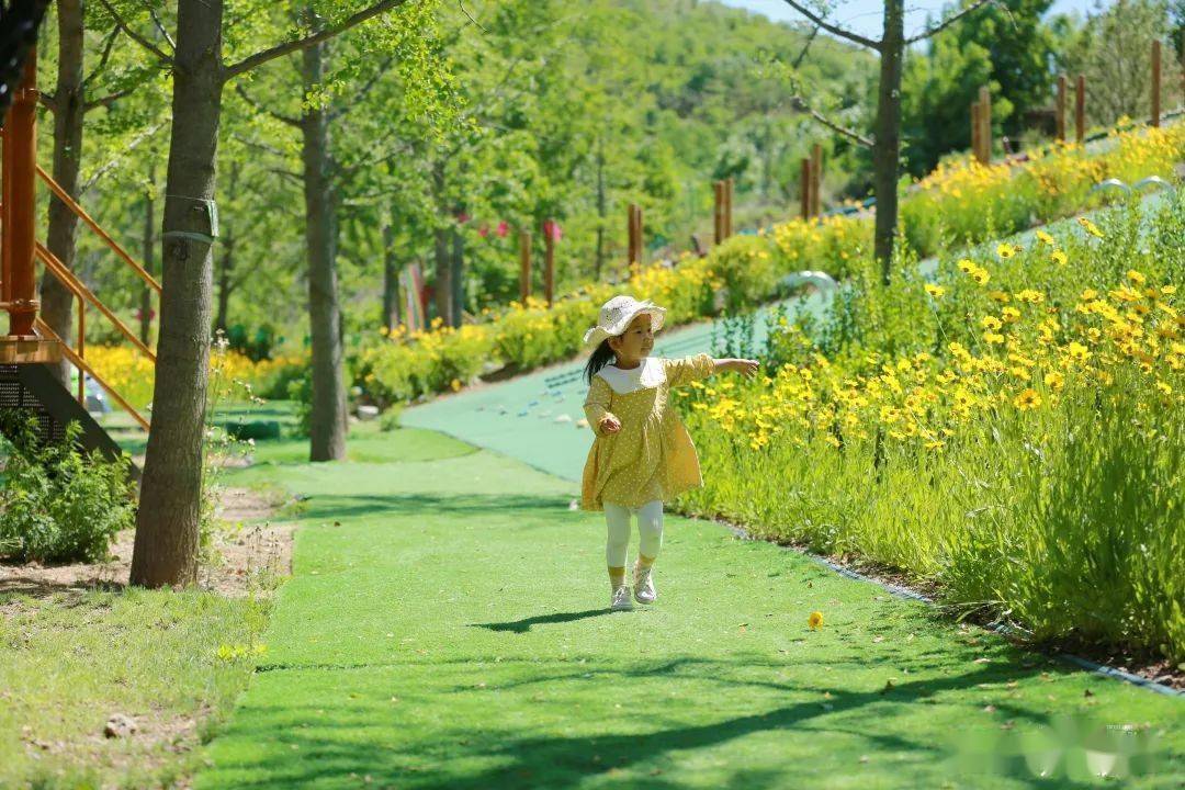 地點_池上鎮_花朵