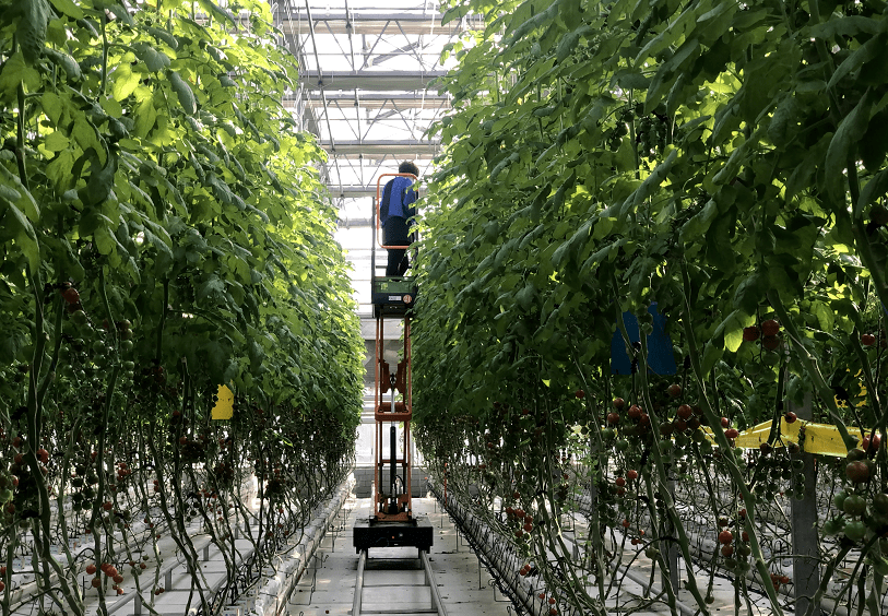 重磅2022年农业产业融合发展项目创建名单公示公告