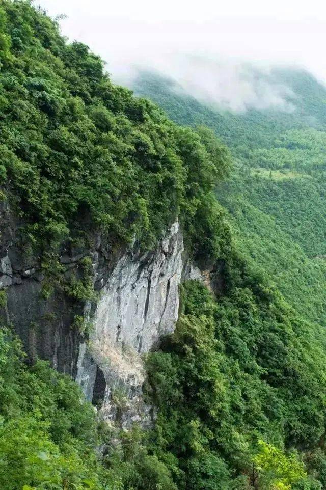 阳山有个悬崖村竟藏在海拔800多米的深山中