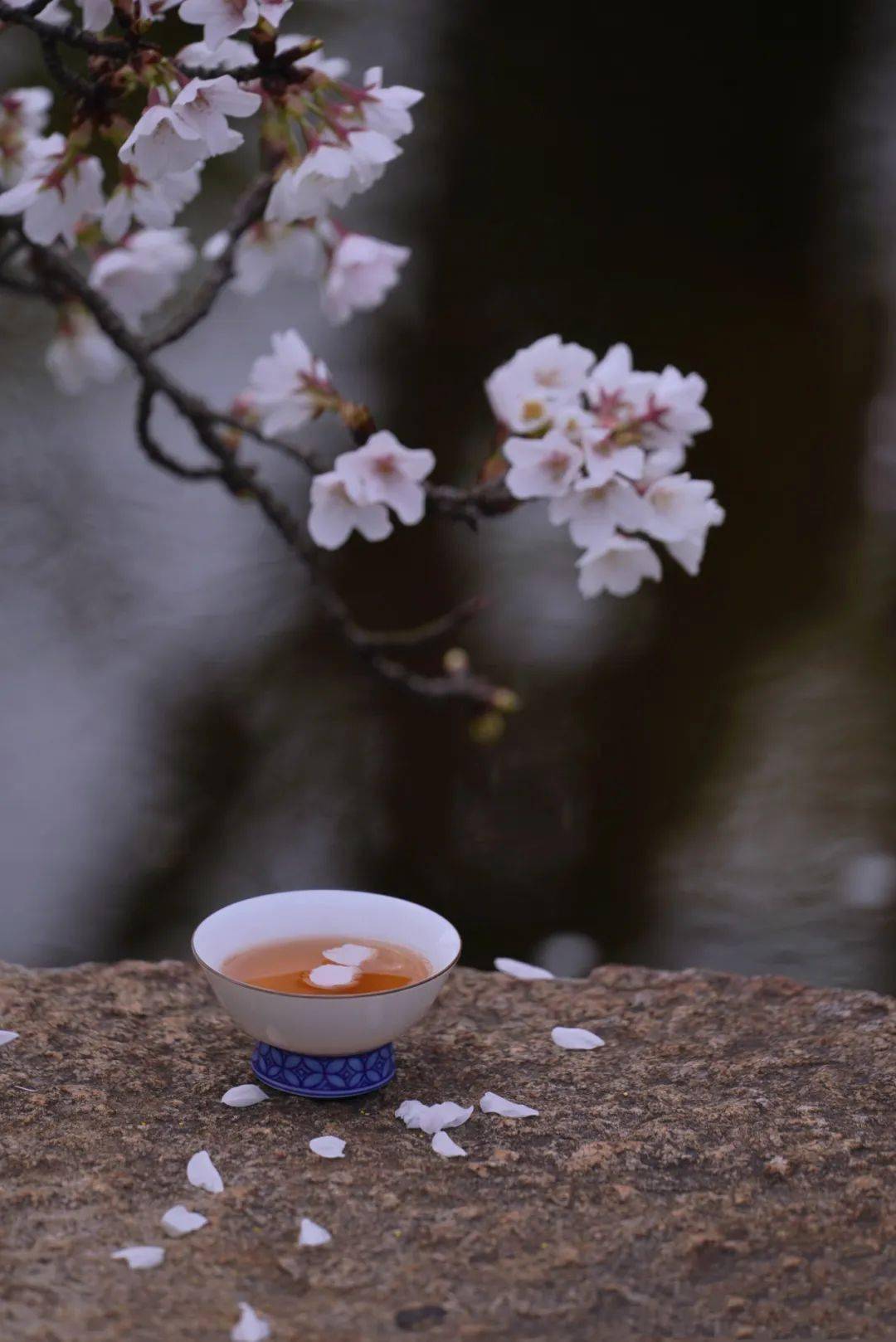苑中谁得从春游,想见渐台瓦欲流.御水曲随花影转,宫云低绕乐声留.