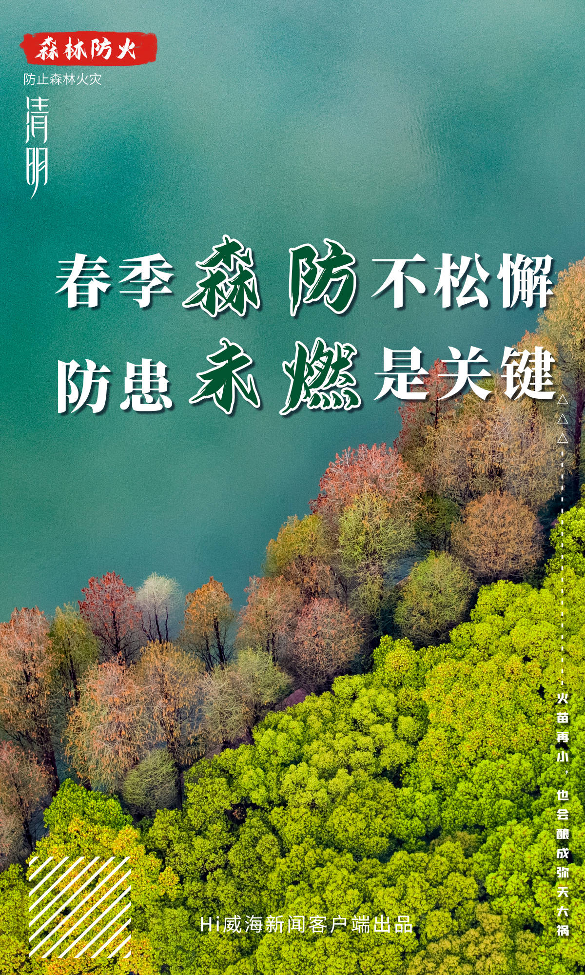 海报丨森林防火人人有责