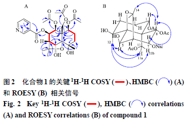 67雷公藤中倍半萜生物碱类化学成分的研究