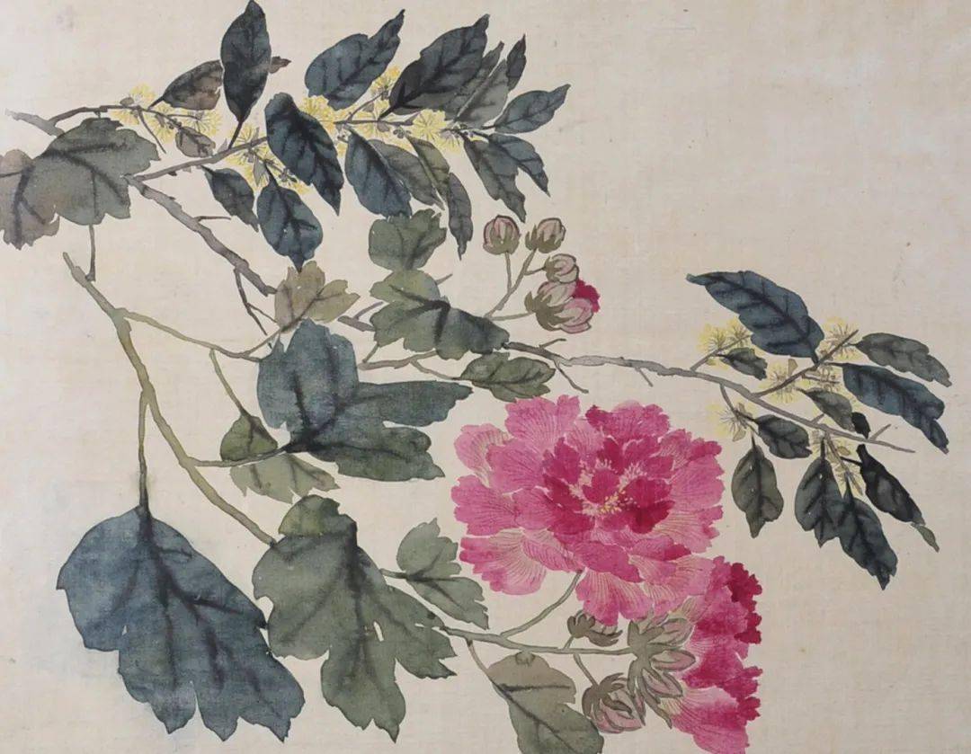 任伯年《花卉小品册》,清新滋润_任颐_牡丹_波罗蜜