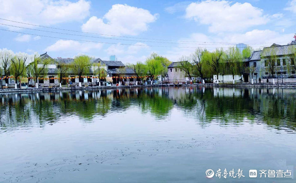 好景山东济南百花洲柳绿鱼红倒影如画尽显生态和谐之美