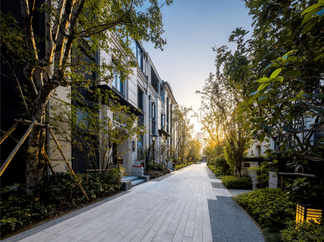 干货丨巷道空间的种植赏析