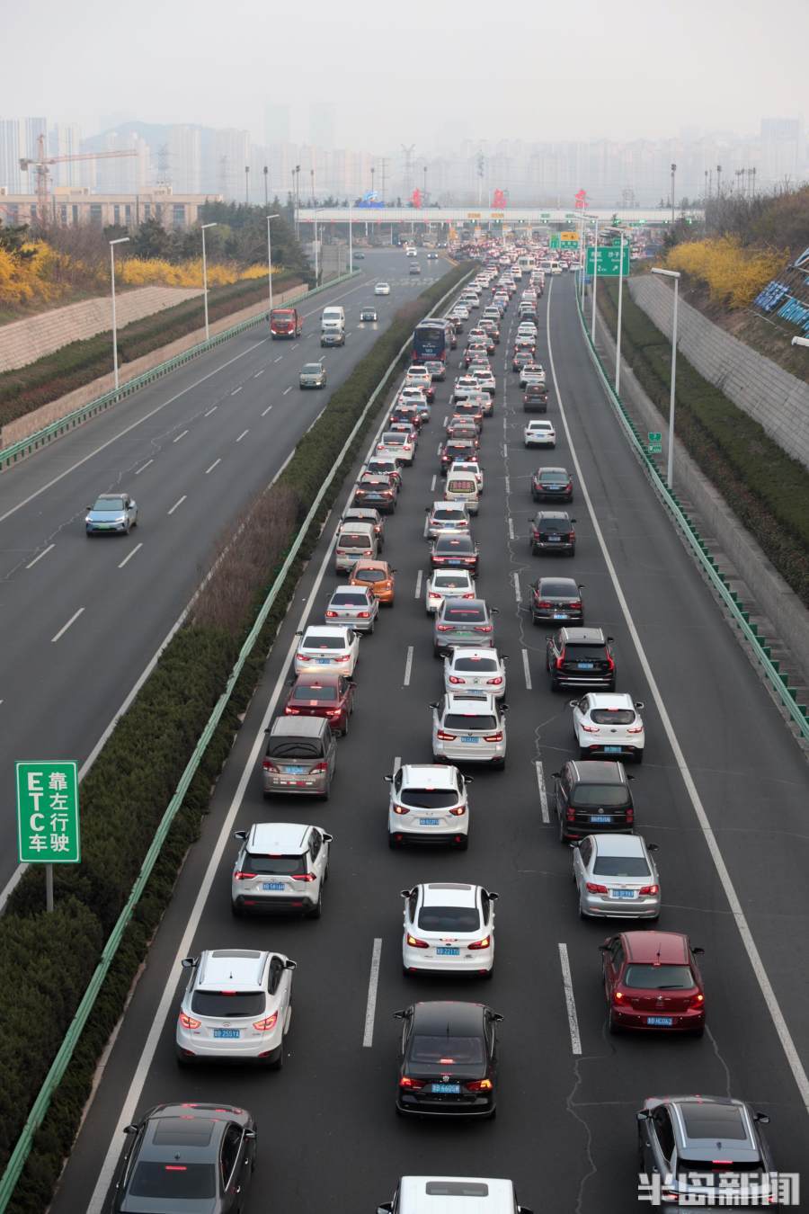 g20青银高速青岛东附近车辆排起长龙.等待出高速的车辆缓慢前行.