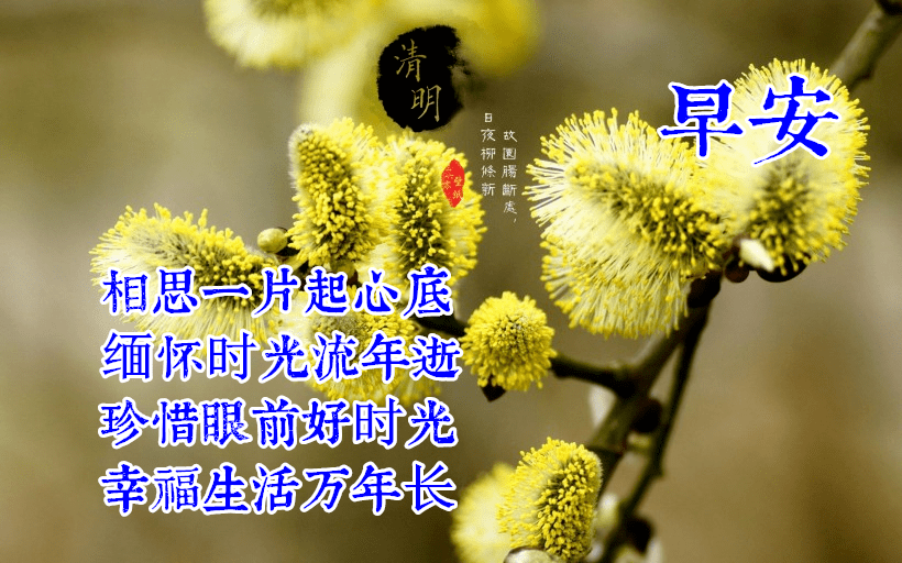 4月5日清明节早上好动态表情图片大全