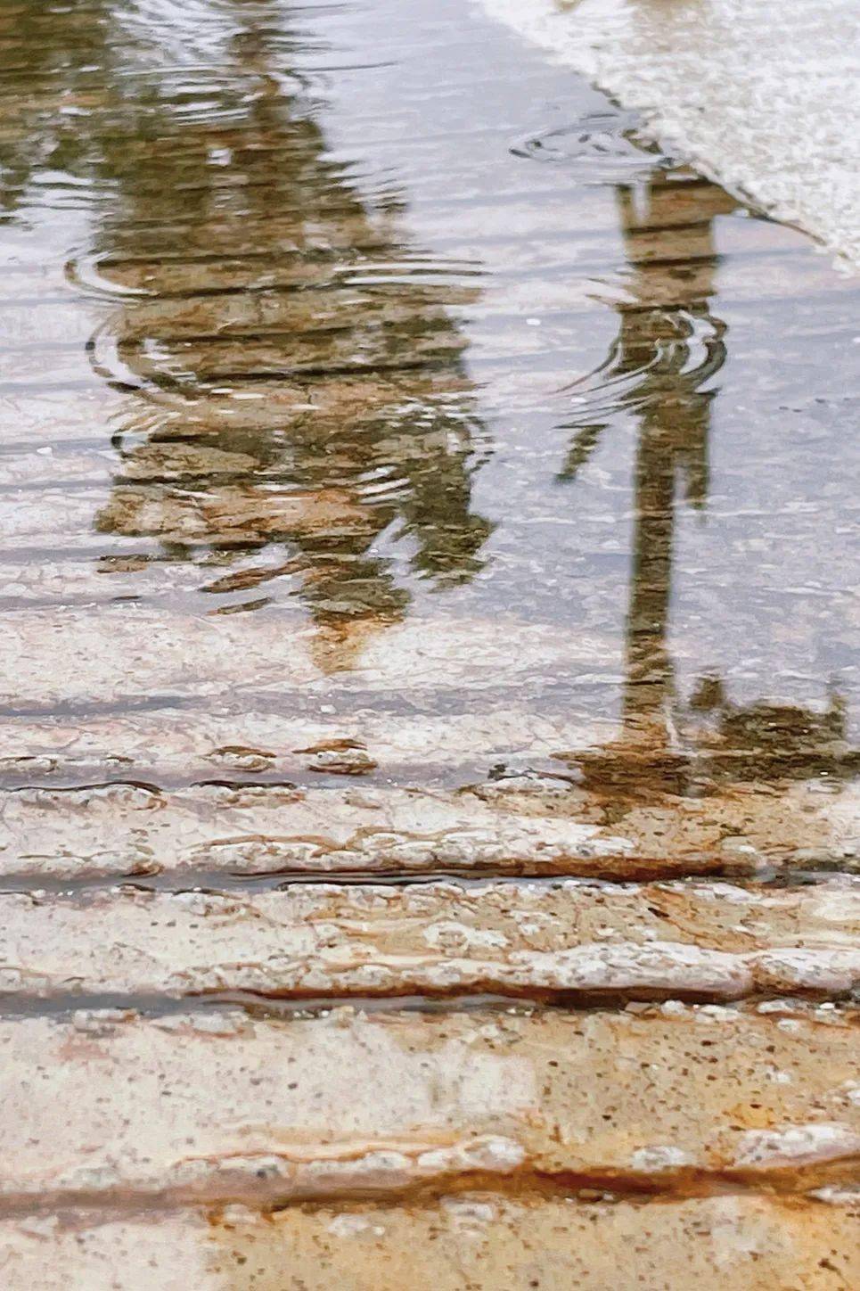 今日清明雨纷纷景朦朦诗琅琅人盈盈