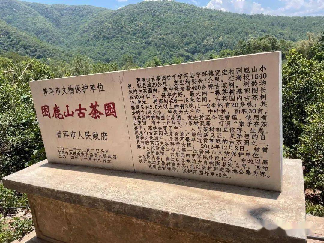 凤庆诗礼古墨古树茶:900-1500元/公斤凤庆锦秀古树茶:8000-11000元