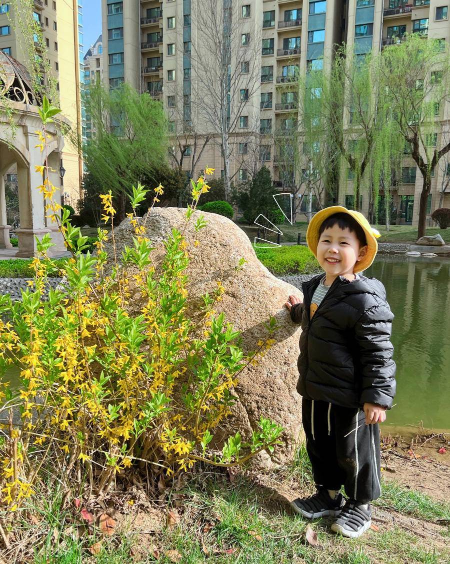 我与春天合个影绿意悠然历下一幼师生把春天装进相框里