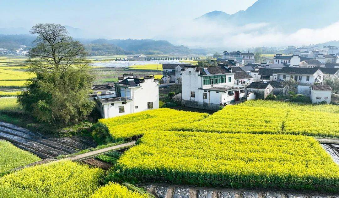 快来宣城奔赴一场春天的旅行吧花开向暖人间三月天,踏青好时节万物