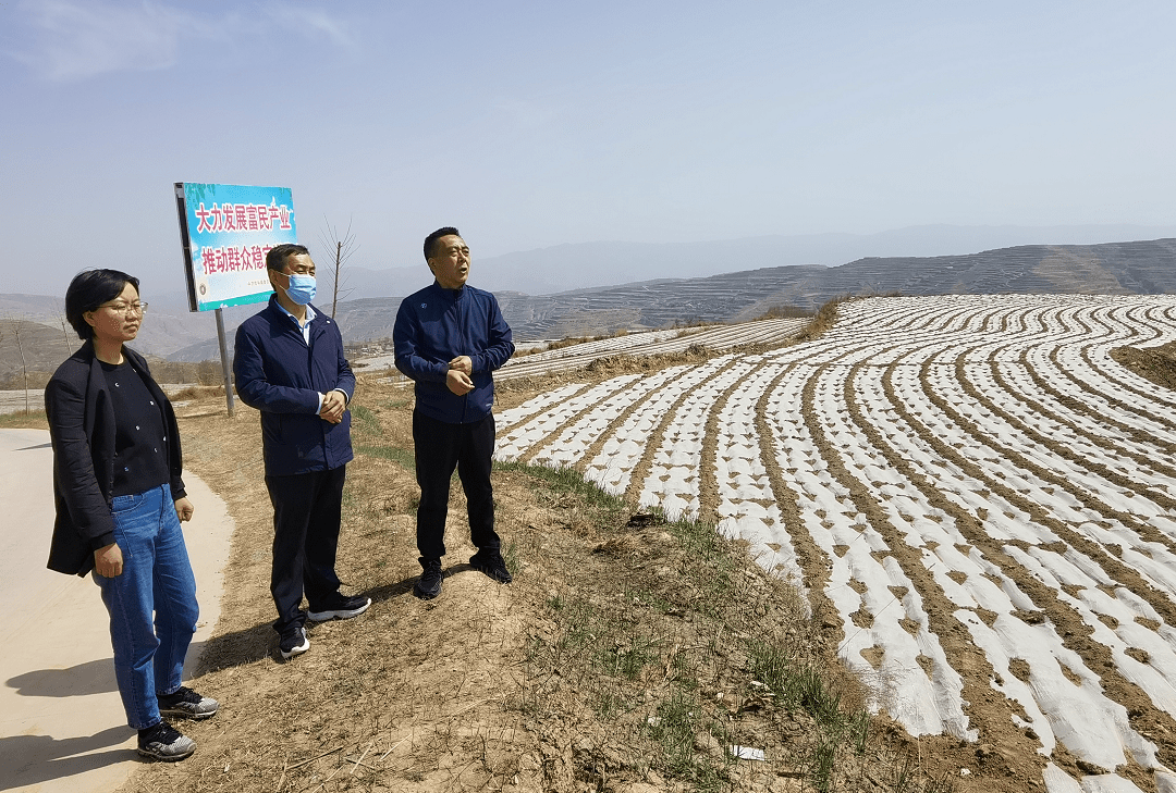 4月5日,县委书记王新强深入马力镇北顺,桦林镇寨子,包门,谢坡,朱湾