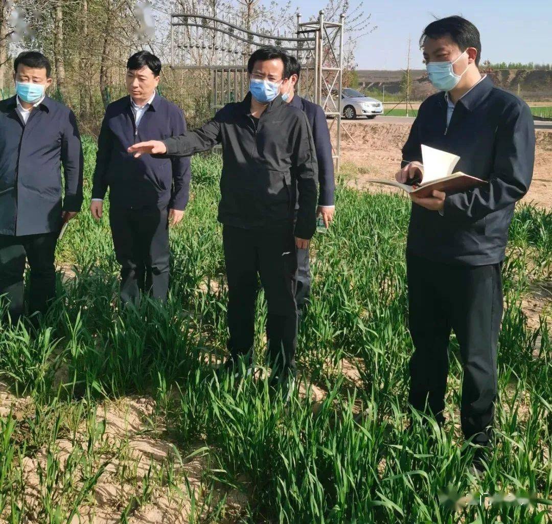 丁同民调研耕地保护和麦田管理等工作