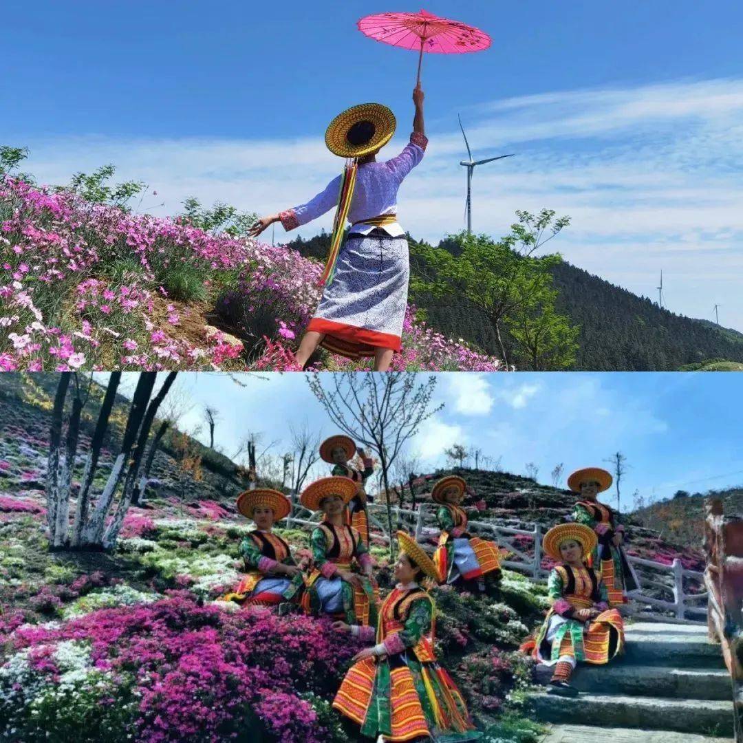 宝庆风情龙瑶幽谷600亩映山红即将盛放