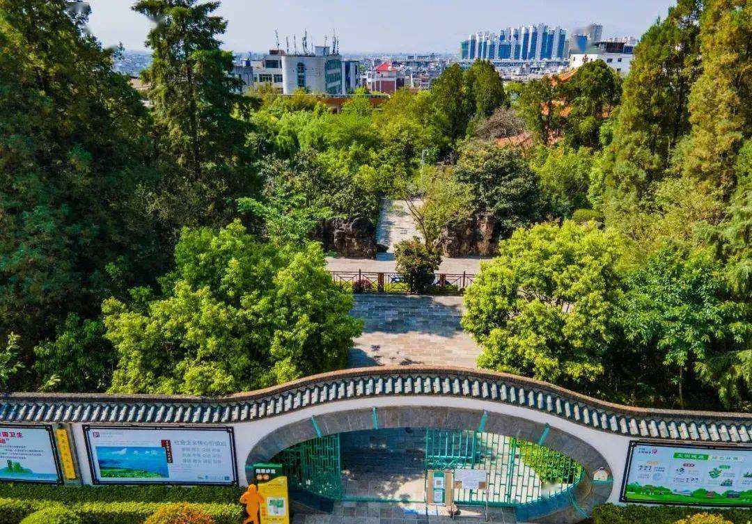 身临其境澄江凤山公园vr全景上线