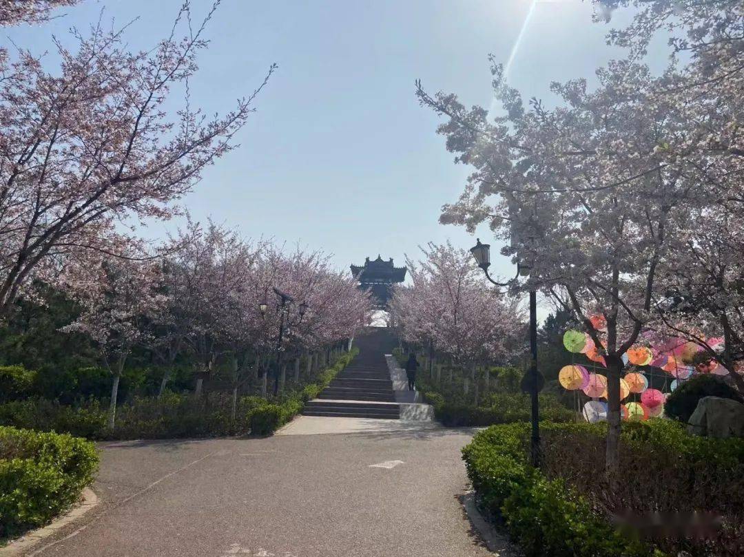 这个时间段来胜利山打卡最合适