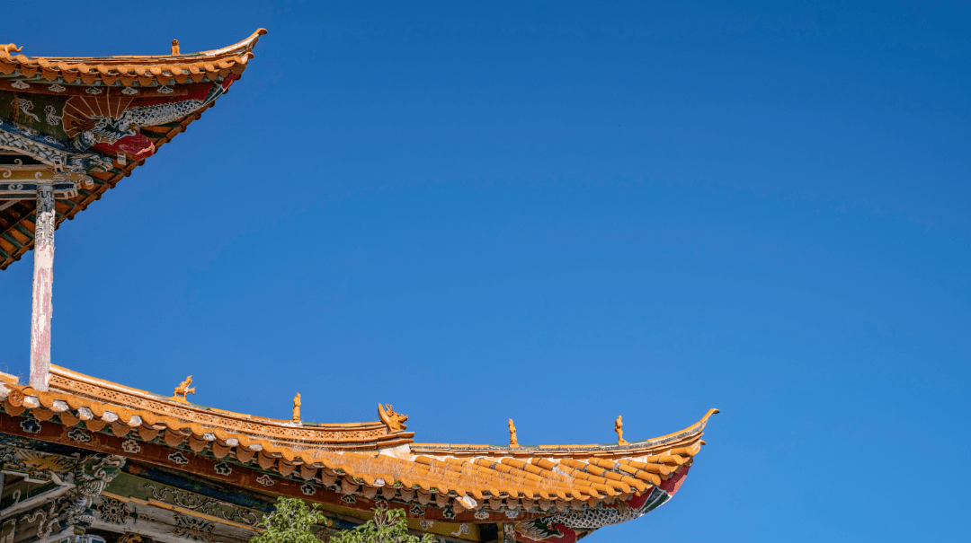 澄江凤山公园vr全景上线_甘倩_沈梦玲_王敏