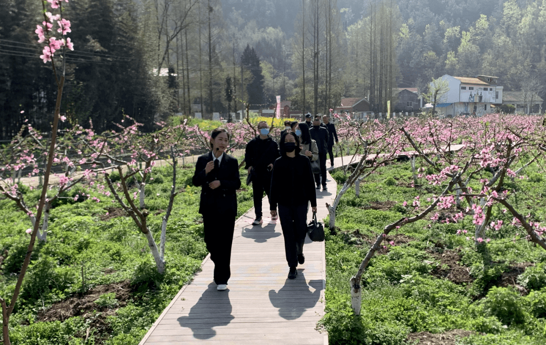 安康汉阴桃花谷地址图片