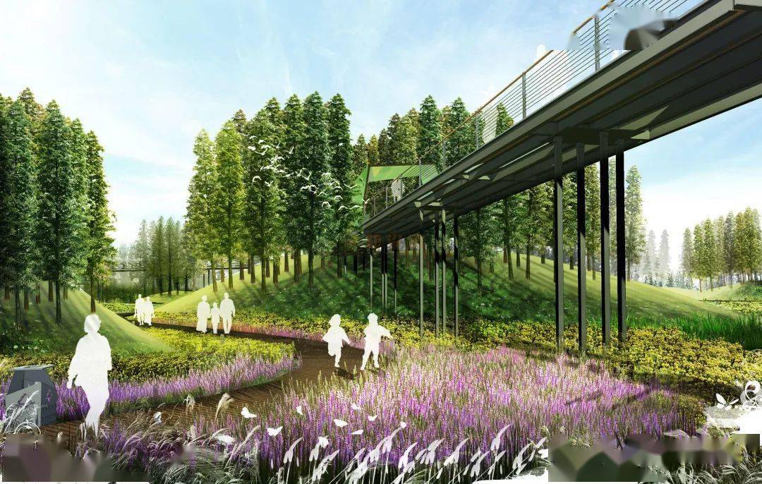 设计院总监发来5张生态公园效果psd源文件