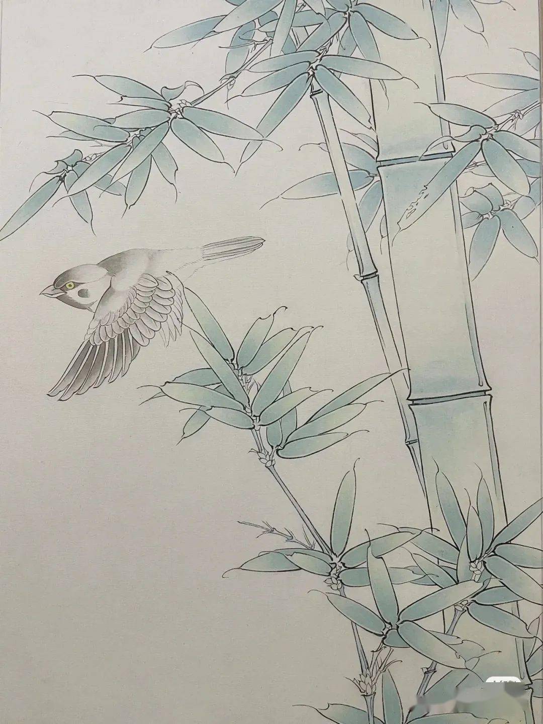 麻雀竹子图绘画步骤