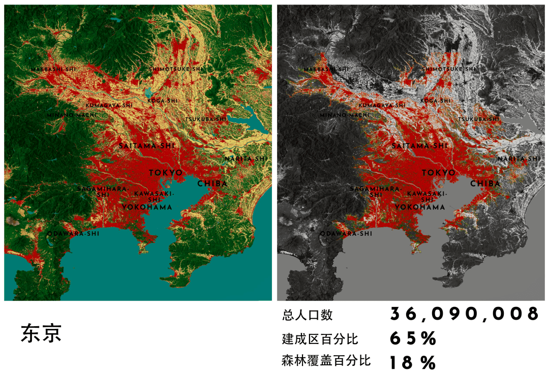 涉谷人口图片