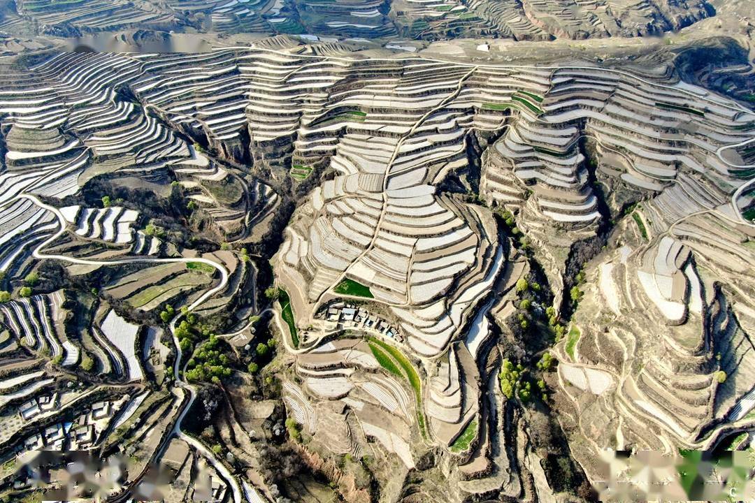 甘肃甘谷县西坪村图片