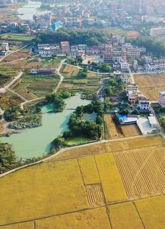 这一站,大圩镇!_贵港市港北区_网友_龙岩