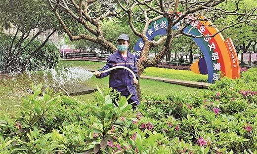 园林医生精心养护只为龙城绿荫花海