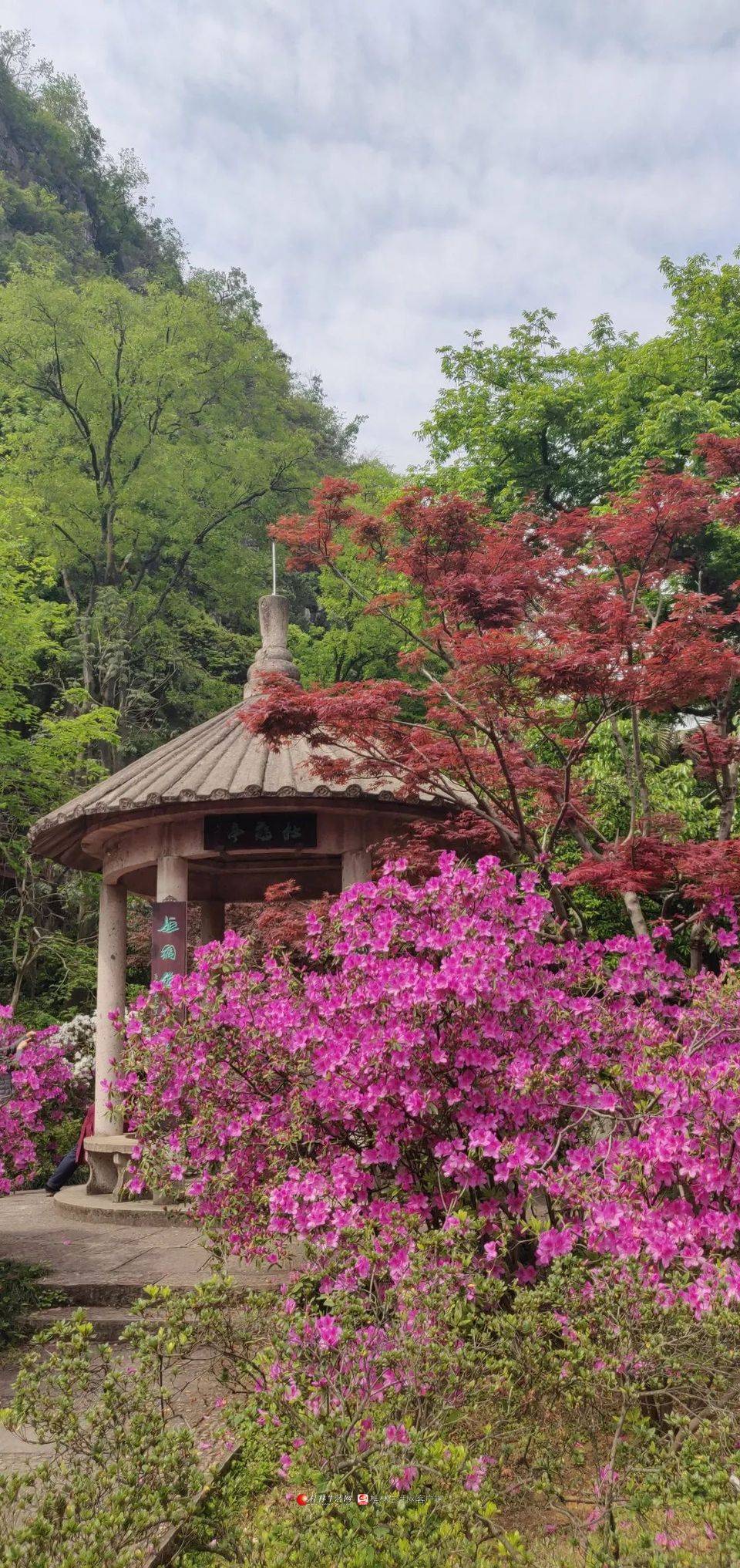 桂林向您汇报带你走进桂林七星的春天系列