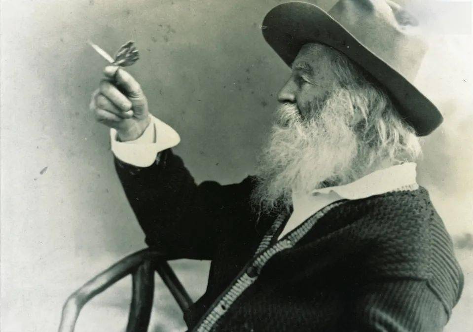 相会梭罗与惠特曼