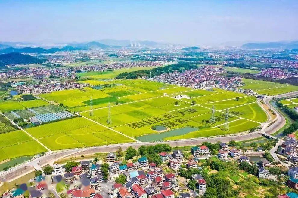 靖江,益农,党湾等都有村上榜!_街道_衙前镇_乡村