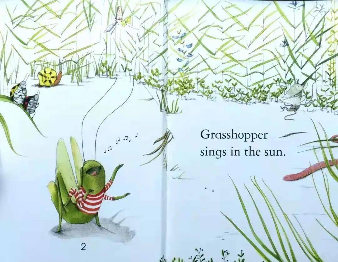 胖胖阿姨讲故事 | 蚂蚁和蚱蜢_ant_英语_me