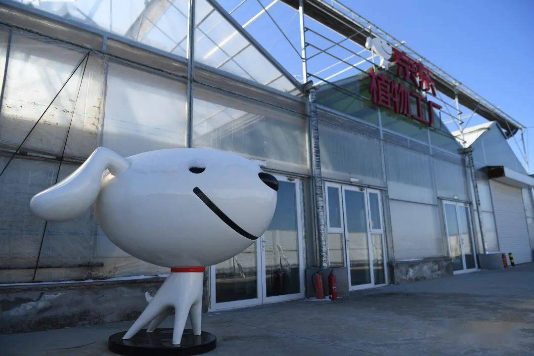 的妙妙和妈妈经过全身消毒后,走进了"神奇蔬菜工厂"——京东植物工厂