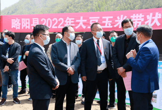 4月8日,略阳县召开大豆玉米带状复合种植暨食用菌产业发展现场推进会