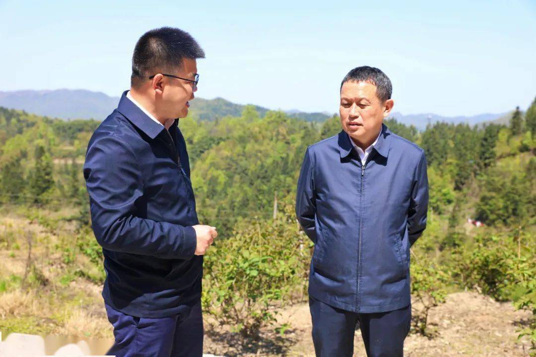 龙群跃深入多乡镇调研指导乡村振兴工作