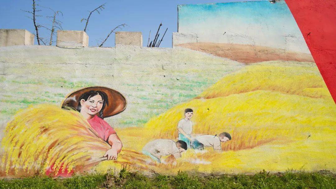 锦丰这些村太出彩了