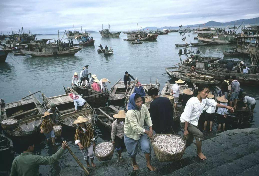 珍贵老照片,上世纪80年代的中国_农村_历史_音乐节拍