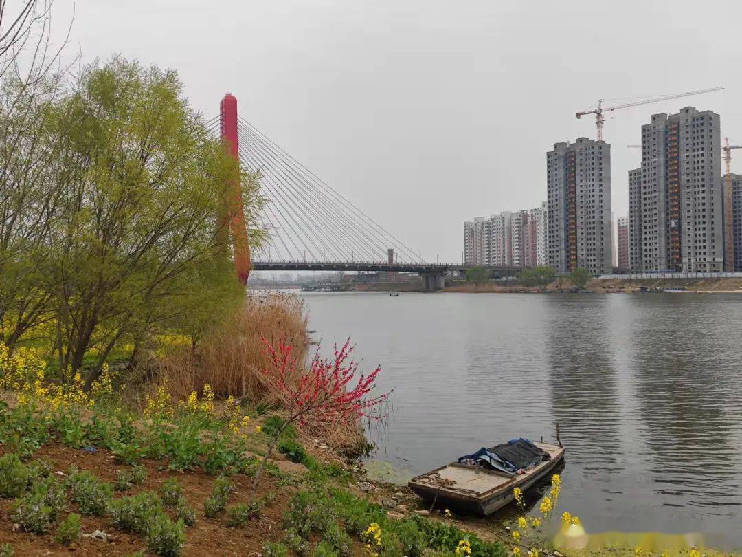 春风拂面,令人心旷神怡花草丰茂,碧波荡漾涡河景观带,更显浓浓春意
