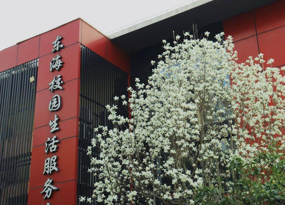 上海市东海学校图片