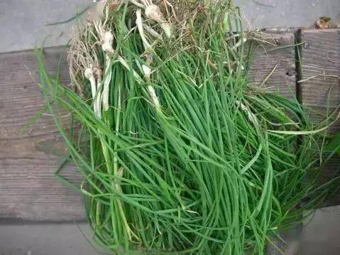 7,燕尾菜吃法:春季开花前采挖全草洗净切段焯熟凉拌或蘸酱食用.